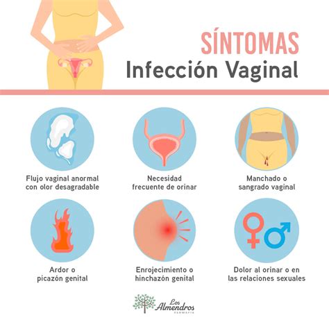 infeccin vajinal fotos reales|Infecciones vaginales: síntomas, tipos, causas y tratamiento